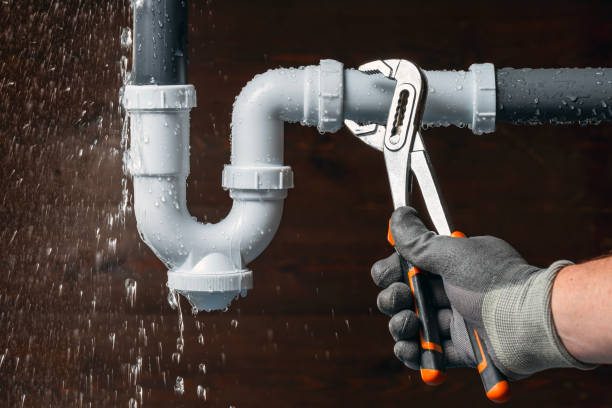 Professional Emergency Plumber technician working in Wenona, IL